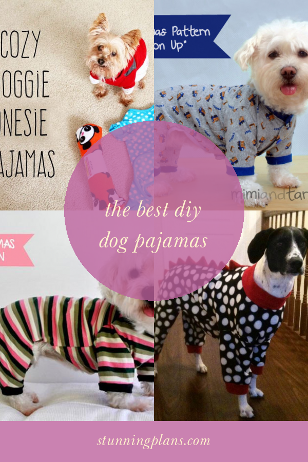 The Best Diy Dog Pajamas Home, Family, Style and Art Ideas